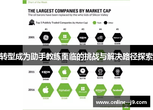 转型成为助手教练面临的挑战与解决路径探索