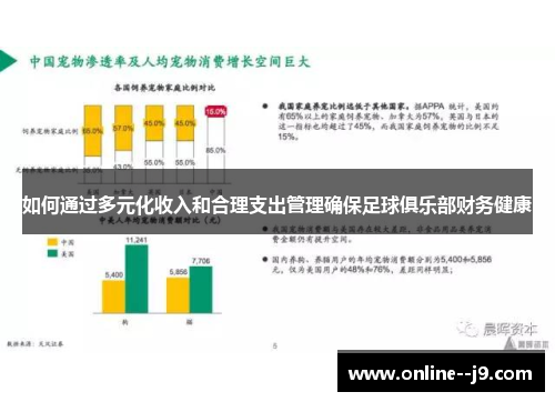 如何通过多元化收入和合理支出管理确保足球俱乐部财务健康