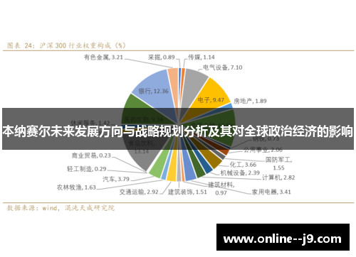 本纳赛尔未来发展方向与战略规划分析及其对全球政治经济的影响