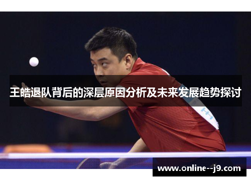 王皓退队背后的深层原因分析及未来发展趋势探讨