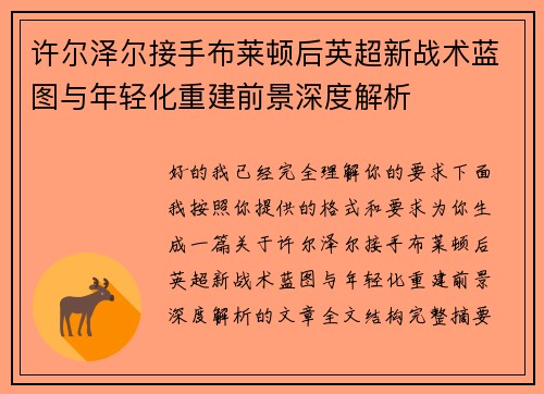 许尔泽尔接手布莱顿后英超新战术蓝图与年轻化重建前景深度解析